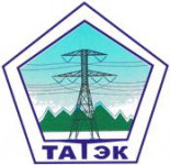 Татарстанская электротехническая компания