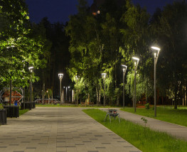Гарди