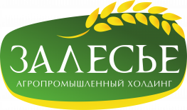 Новое Высоковское