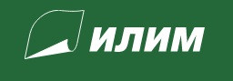 Группа Илим