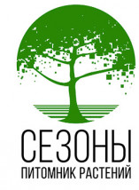 Сезоны