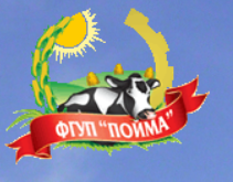 Пойма